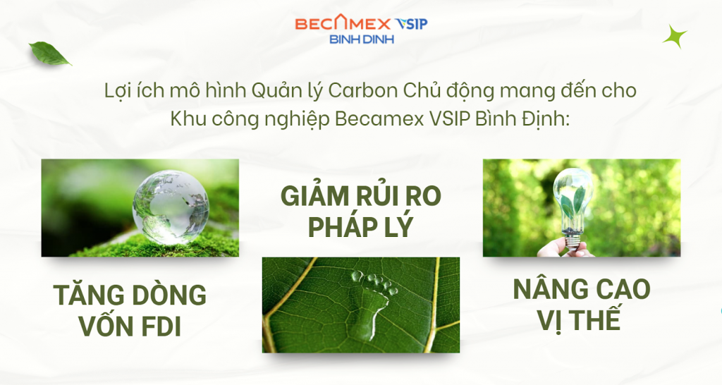 image 1 Becamex Bình Định