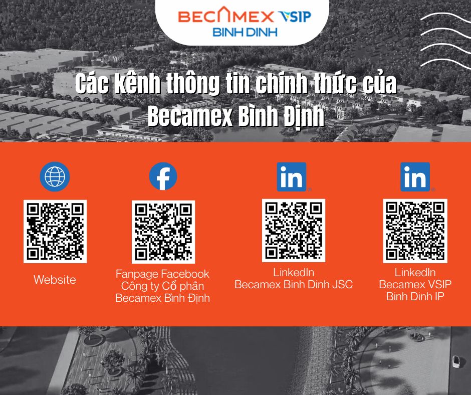 jjj Becamex Bình Định